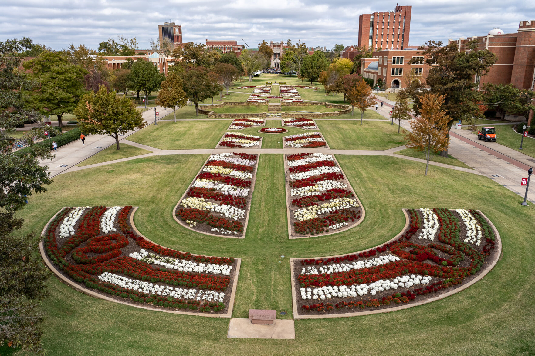 South Oval mums